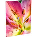 Chroma Lux - Image 3